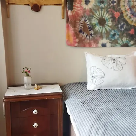 Rum i privatbostad Lily Backpackers *